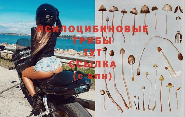 хмурый Алексин