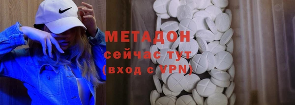 сатива Няндома
