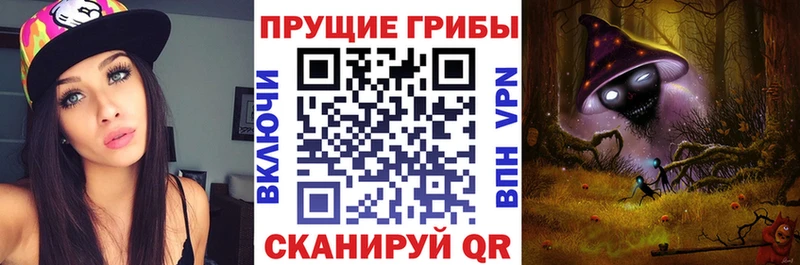 Галлюциногенные грибы GOLDEN TEACHER  наркотики  Минусинск 